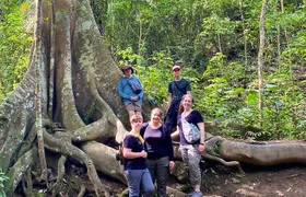 Rainforest Wildlife, Panama Hat makers, Traditional Cuisine. SHORE TOUR