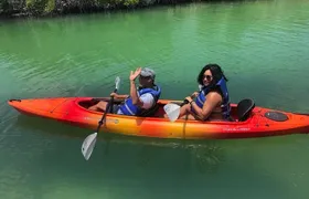Key West Mangrove Kayak Eco Tour