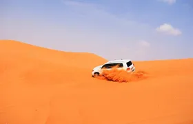 Evening Desert Safari with BBQ Dinner