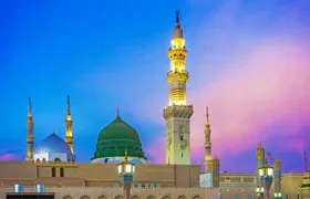 Madinah Ziyarats (Private tour)