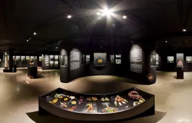 Ticket MAI - Museum of Indigenous Art - Curitiba