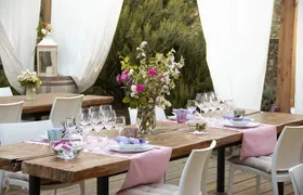 Wine and food tasting in an organic family winery