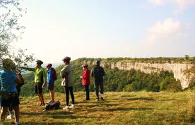Burgundy Bike Tour with Wine Tasting from Beaune