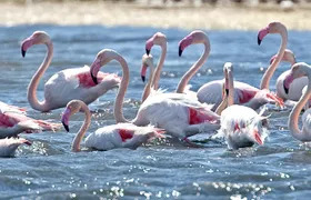 Electric Bike Naturalistic Tour in Cagliari