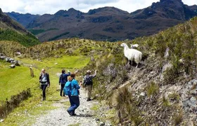 Amazing Cajas National Park Tour from Cuenca
