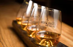 Dublin Irish Whiskey Museum and Gallery Guided Tour with Tasting 