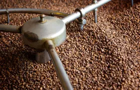 Greek Food Walking Tour in Athens