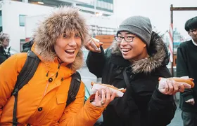 Reykjavik Food Walk - Local Foodie Adventure in Iceland