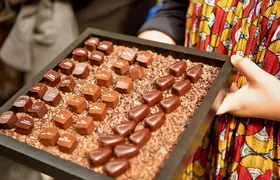 Hungry Mary's Famous Beer and Chocolate Tour in Brussels