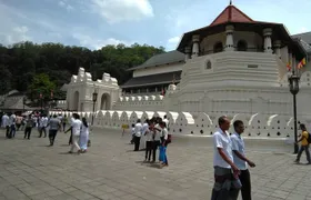 Private Day trip Kandy & pinnawala with your selected attractions
