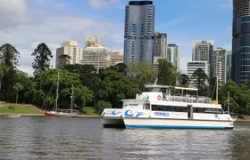 Brisbane River Cruise with entry to Lone Pine Koala Sanctuary