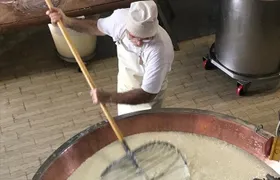 Parmigiano Cheese, Parma Ham and Balsamic