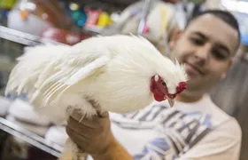 San Jose: Bites and Sights Walking Food Tour visit Markets