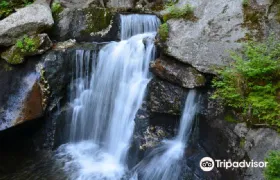 Boston & White Mountains Day Tour [Lost River Gorge & Boulder Caves]