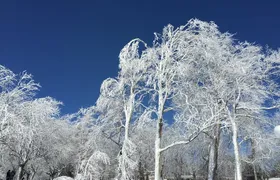 Niagara Falls Winter Wonderland USA Tour (small groups)