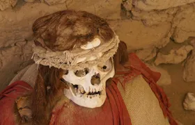 Nazca Lines and Chauchilla tour combo