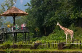 Zoo Negara Malaysia Admission Ticket Family (2 adults + 1 child) (Non-Malaysian)