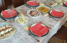 Bodega Doña Felisa: Guided Tour & Wine Tasting or Lunch