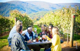 Maipo Valley Wine Tour with 4 vineyards from Santiago.