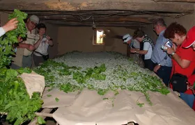 Shahrisabz Private Excursion From Samarkand.