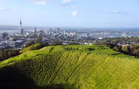 Half-day Discover Auckland City Sightseeing Tour