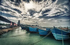 DELFT AND NAGADEEPA ISLANDS-Private day trip from Jaffna