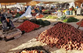 Atlas Mountains & 5 Valleys Tour from Marrakech - All inclusive -