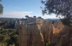 Discovery "les Orgues and truffles"