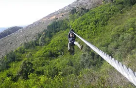 Zipline Cape Town - From Foot of Table Mountain Reserve 