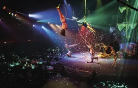 Pirates adventure show with transfer