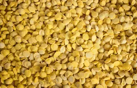 Private Half Day Parma Food Walking Tour