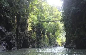 Rafting Pacuare River One Day from Turrialba