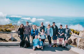 Day Tour in Mt. Field, Mt. Wellington, Bonorong Wildlife Sanctuary and Richmond