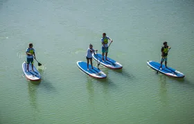 Seville: Paddle Surf Route and Class