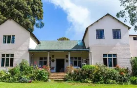 Nairobi: Tea Farm Tour with Forest Walk and Lunch