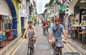 Historical Singapore Bike Tour on Full-Sized Bicycles