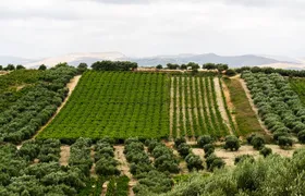 Heraklion SUV Private Guided Wine Tour with Lunch 