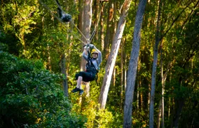 Kohala zip and dip