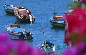 Madeira Sea Cliff and Camara de Lobos 4WD Half Day Tour