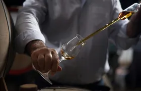"3 facets of the Cognac country" private tour from Angouleme