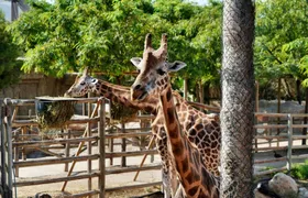 Terra Natura Theme Park in Murcia Entrance Ticket