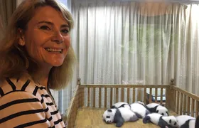 Private Half-Day Chengdu Panda Breeding Center Tour with Optional Volunteer