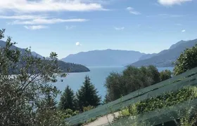 Domaso: Wine Tasting at the Winery on Como Lake