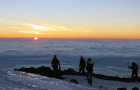 10 Day Kilimanjaro Climb - Lemosho Route