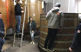 Private Wine Tasting Tour - Côte de Beaune & Côte de Nuits 3 wineries, 15+ wines