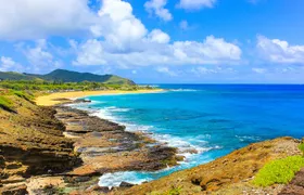 Tour of North Shore & Waimea Waterfall