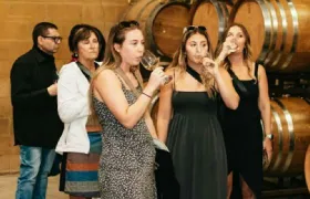 Wine Country & Armstrong Woods: Guided Tour from San Francisco + Tasting