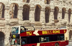 Rome: Hop-on Hop-off Bus Tour + Civitavecchia Cruise Port Transfer