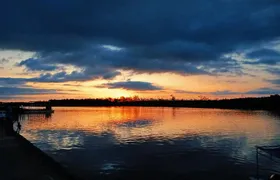Proboscis Monkey and Fireflies River Cruise