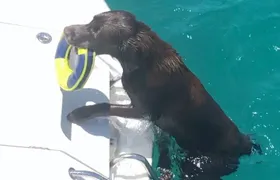 Day trip on a sailing catamaran in Sardinia